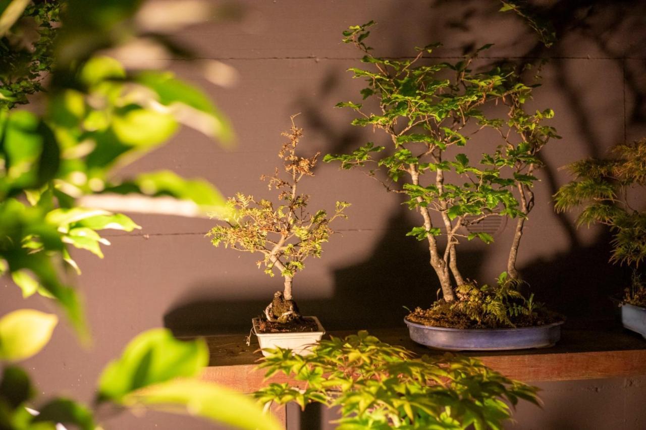 CarbognanoIl Giardino Segreto公寓 外观 照片